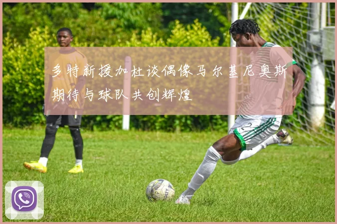 多特新援加杜谈偶像马尔基尼奥斯期待与球队共创辉煌